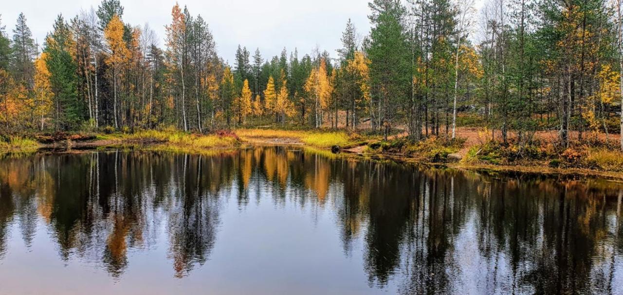 Cozy Log Cabin By Invisible Forest Lodge Рованіемі Екстер'єр фото